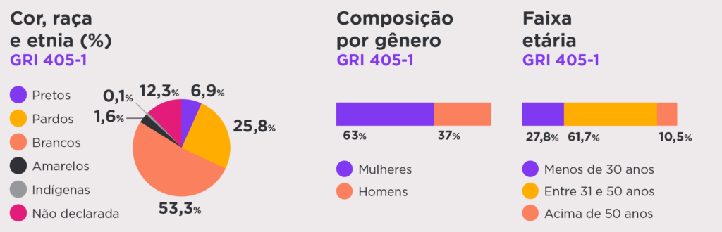 Quadro sobre Cor, raça e etnia. Composição por gênero. Faixa etária.